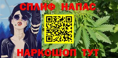 СК Будённовск
