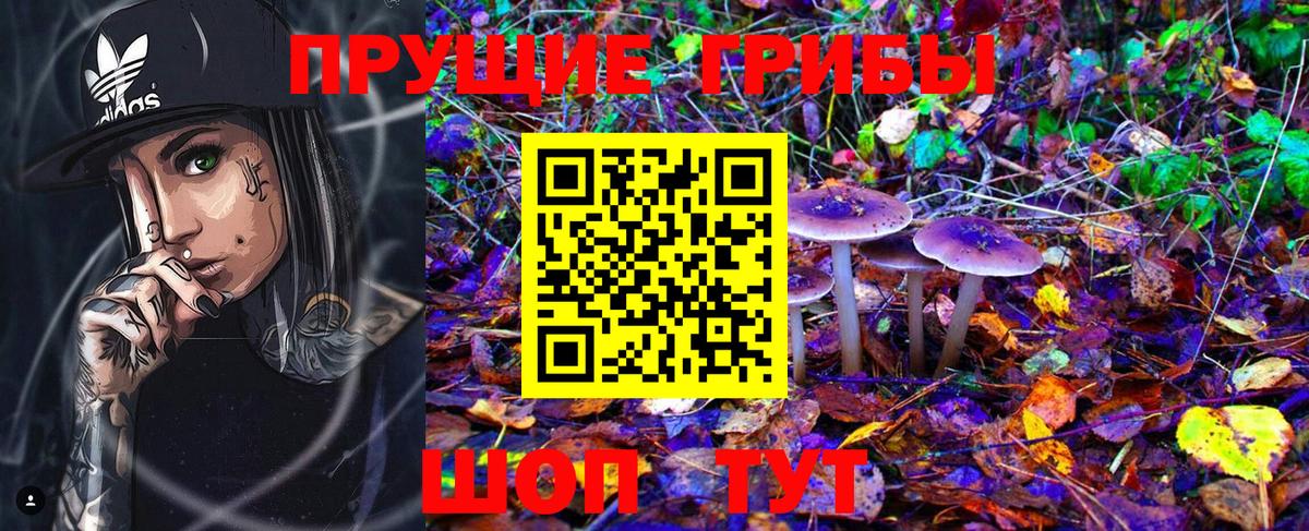 Псилоцибиновые грибы Magic Shrooms Топки