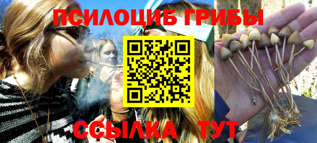 Топки  Галлюциногенные грибы прущие грибы  купить  сайты  Вход с VPN 